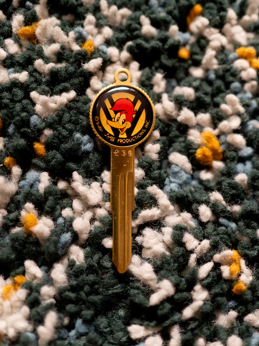 Woody Woodpecker M239 Fashion Key