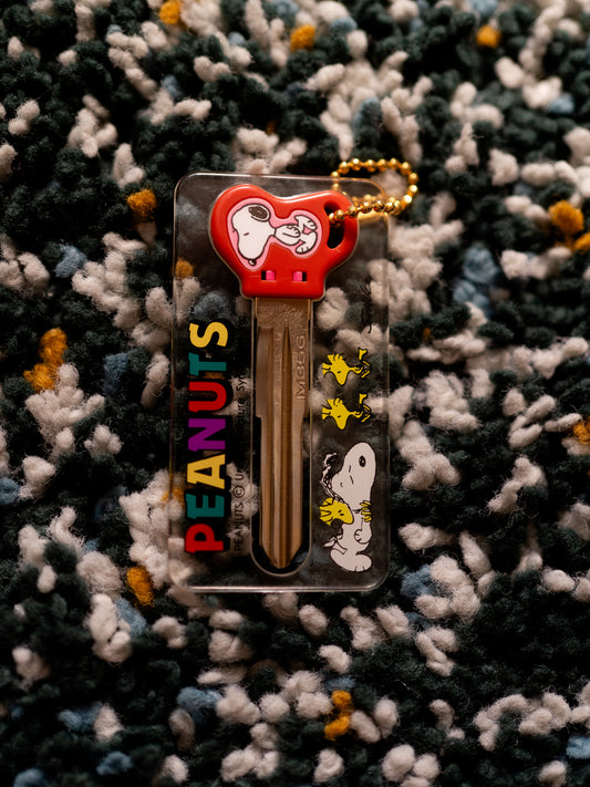 Peanuts M356 Card Fashion Key